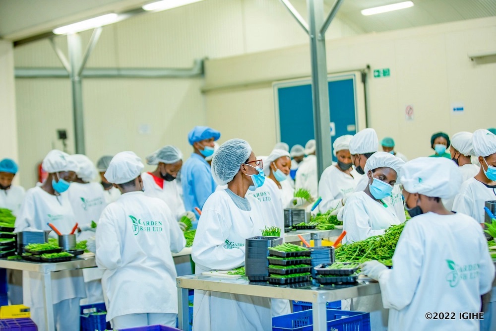 Rwandan fruit and vegetable exporters lose over Rwf 100 million due to Iran conflict