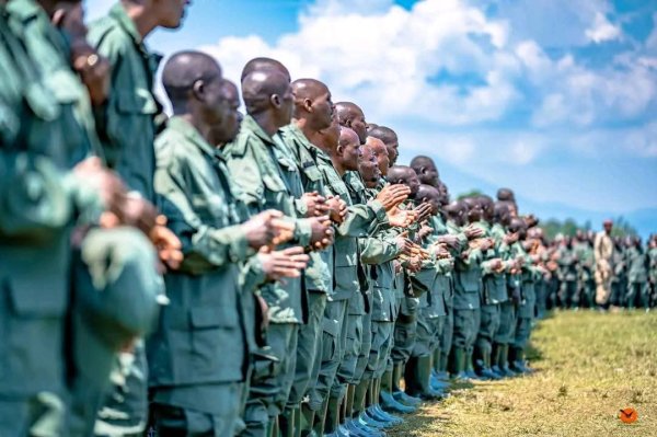 DRC hesitates to receive 5,000 soldiers held by AFC/M23