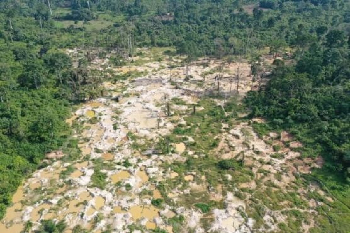 Cote d’Ivoire has lost over 80 percent of its forests: official