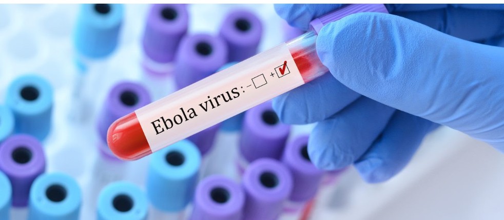 Africa CDC declares Ebola outbreak public health emergency of continental security
