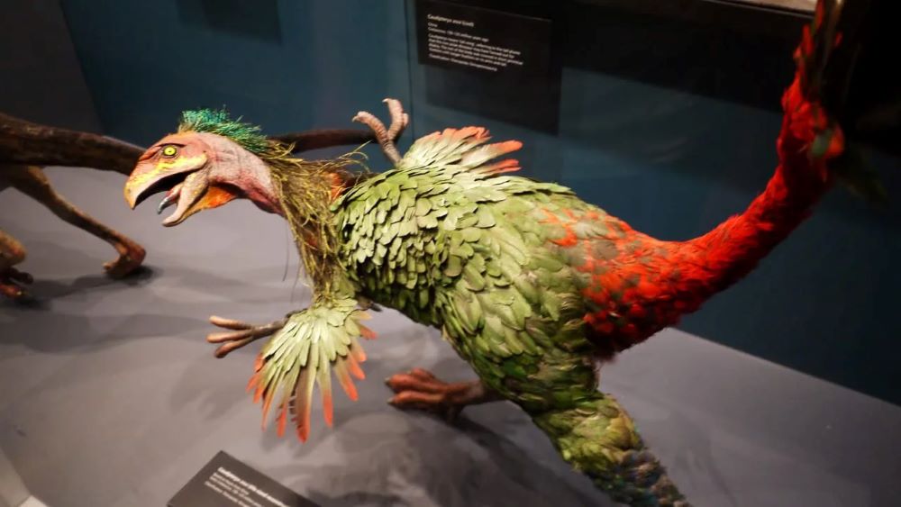 Early feathered dinosaurs may have used wings to scare prey – Research 