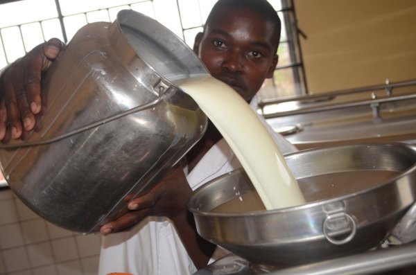 Rwanda’s daily milk production rises to nearly 3 million litres