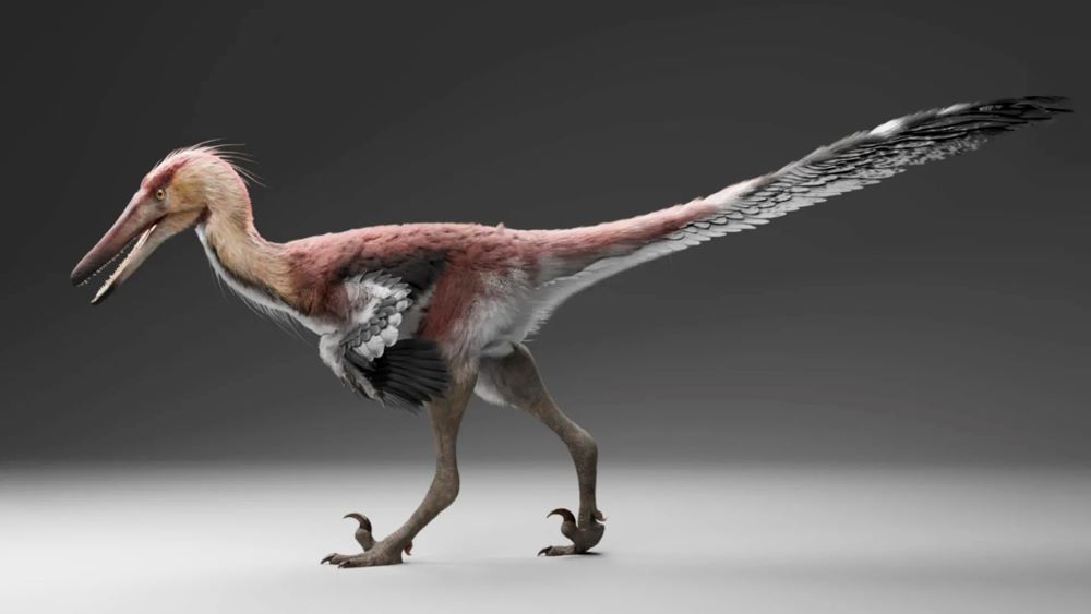 Fossils reveal raptor-like dinosaur with heron-style hunting habits