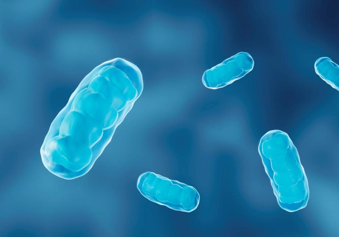 Immune-boosting therapy shows promise against superbugs: study