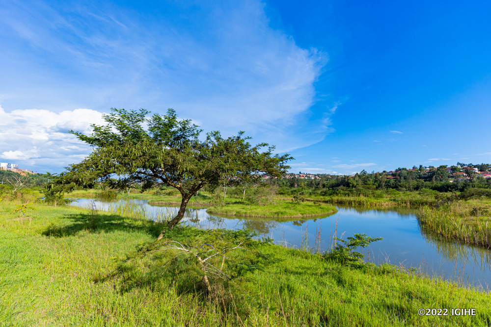 Nyandungu Eco-Park to launch zipline attraction as visitor numbers rise