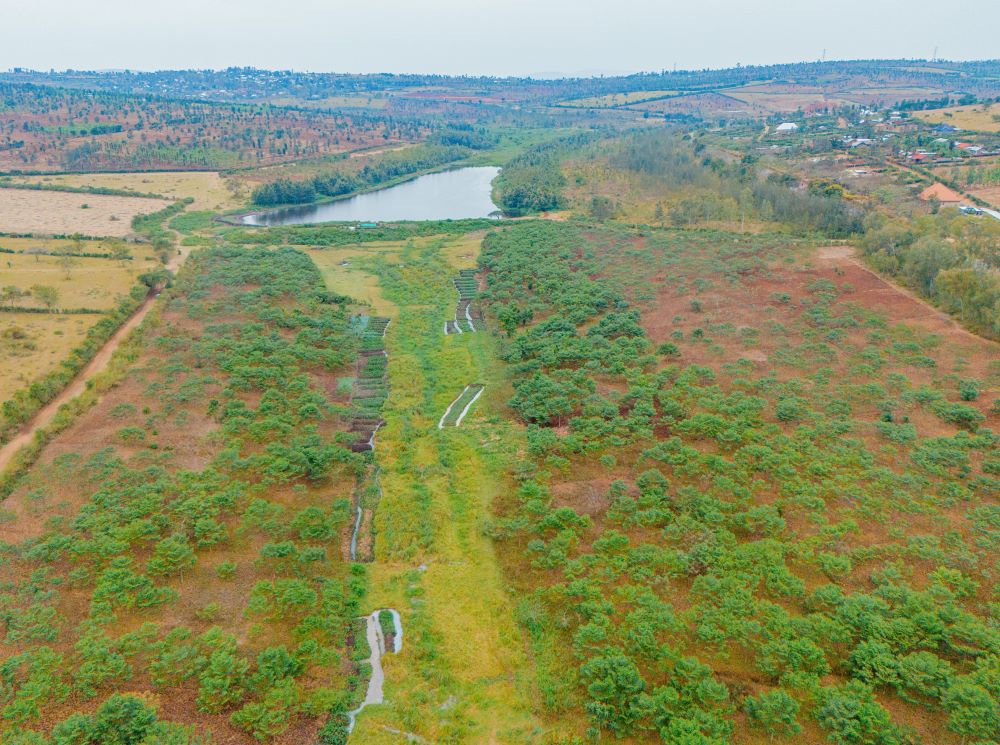 How Payment for Ecosystem Services could transform conservation in Rwanda