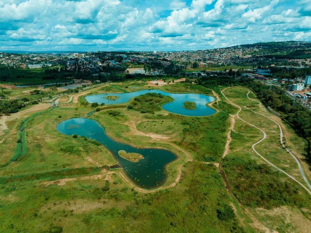 Rwanda seeks long-term manager and financier for Kigali wetlands park