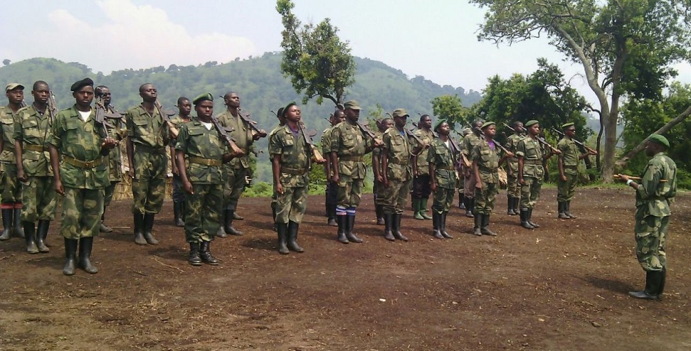 UN sanctions two FDLR commanders