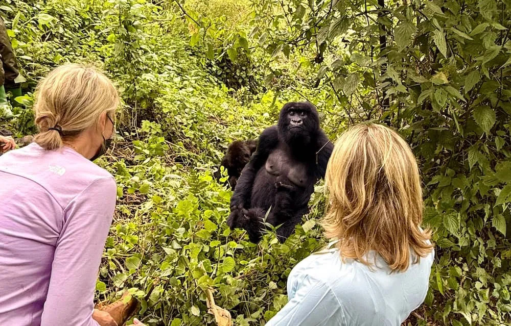 Rwanda earns Rwf238 billion from foreign visitors in Q2 of 2026