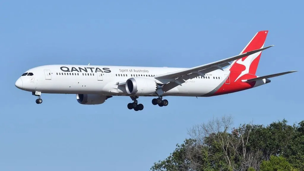 Qantas grounds aircraft after bedbug outbreak