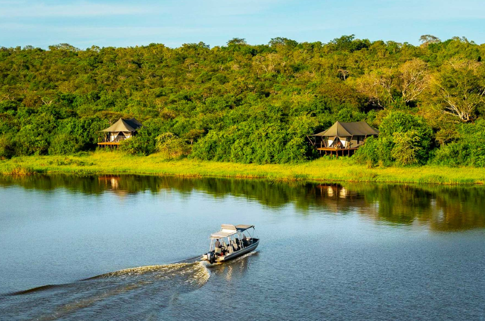 Escape Kigali: Top things to do in Akagera this weekend