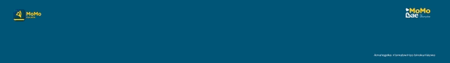 MTN MOMOBAE- WEB BANNER