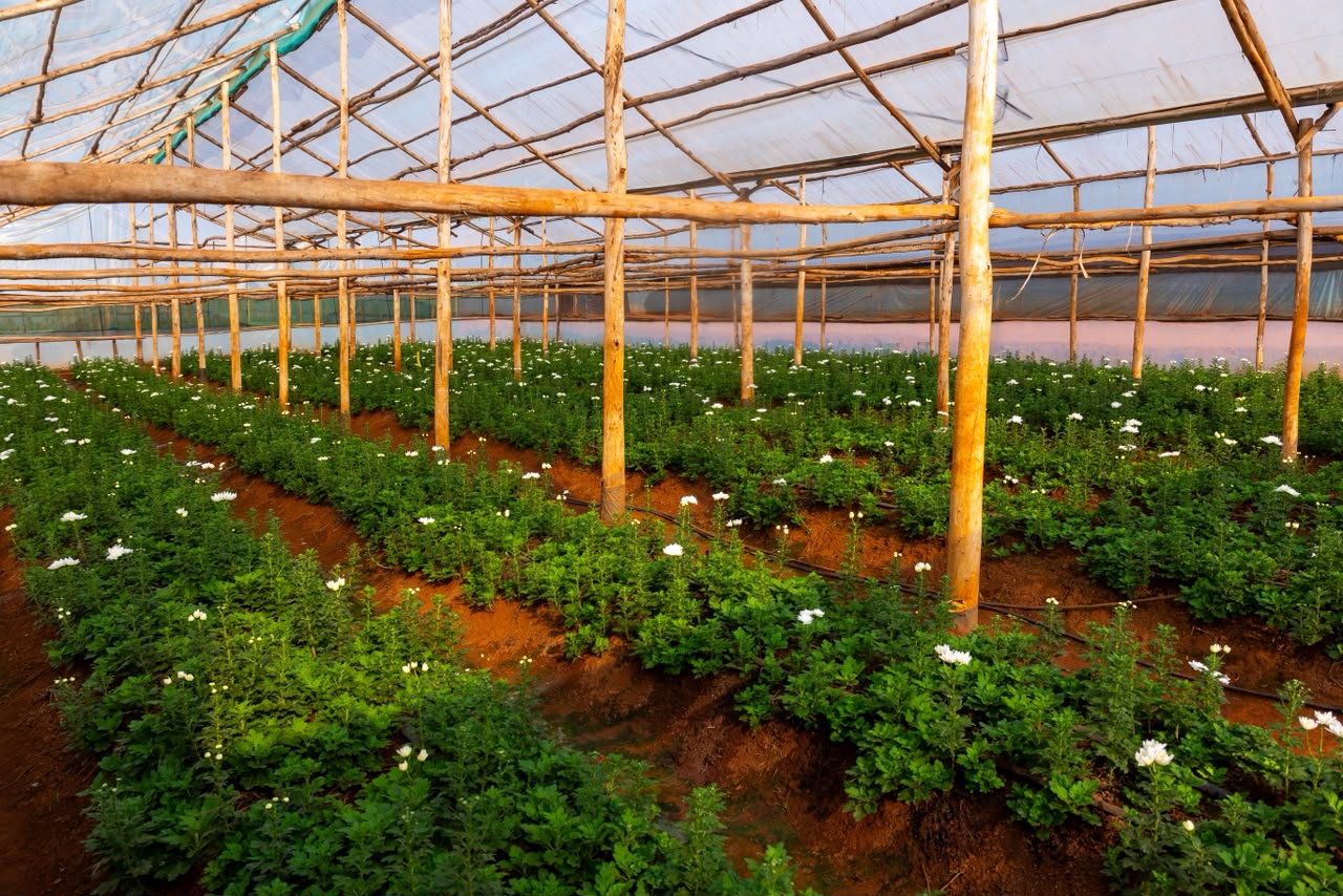 From China inspiration to Rwanda’s rising agritourism destination: Jarama Farm’s story