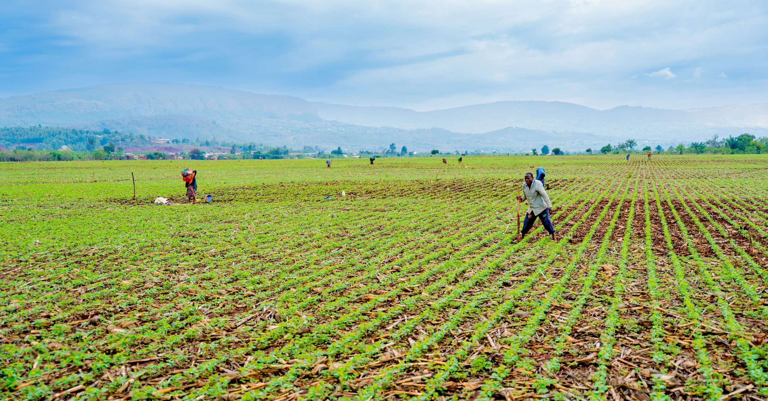 Les députés rwandais en tournée nationale pour évaluer les programmes agricoles et les défis du secteur