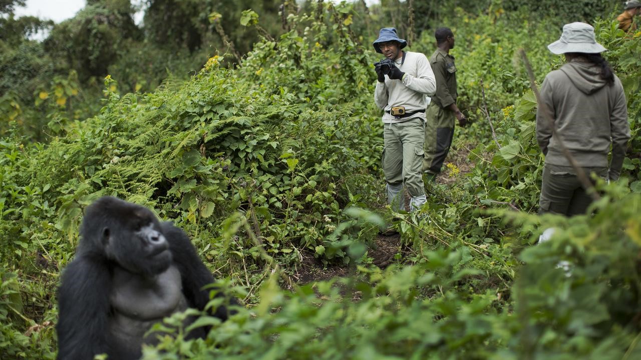 RDB rassure sur la situation du tourisme au Rwanda malgré l’épidémie d’Ebola