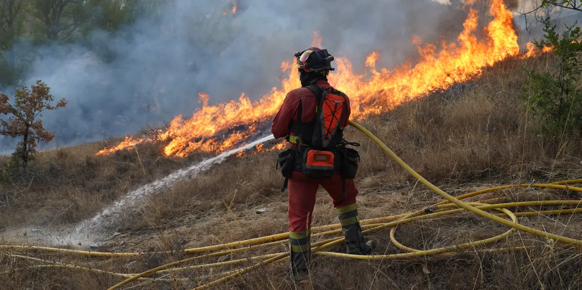 L’Espagne décrète l’état d’urgence national et sollicite l’aide de l’UE alors que les feux de forêt se propagent
