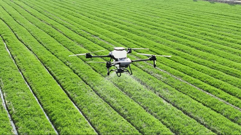 La BAD prévoit plus de 400 millions de dollars pour l’agriculture au Rwanda