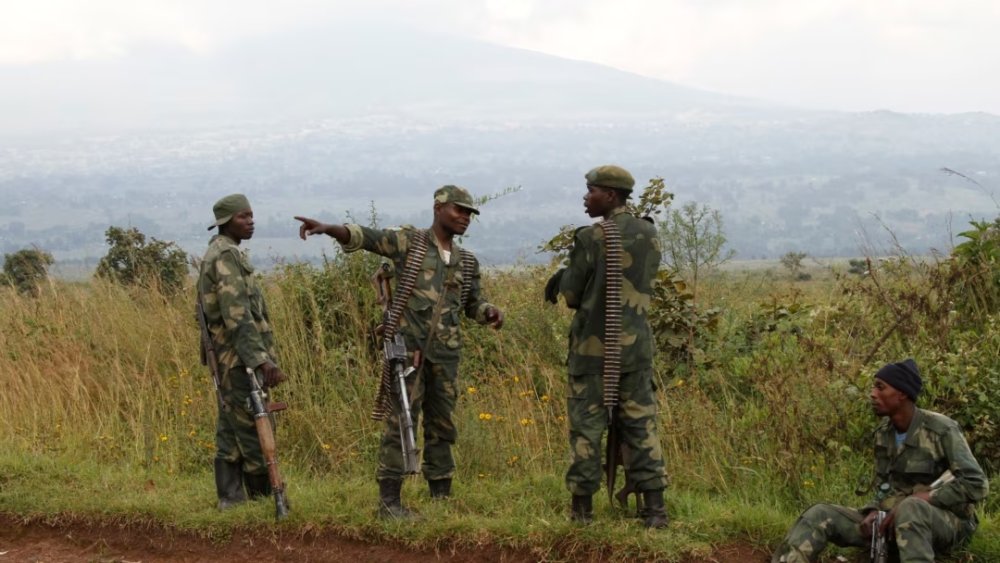 Les risques pour un pays tiers susceptible d’accueillir des combattants FDLR