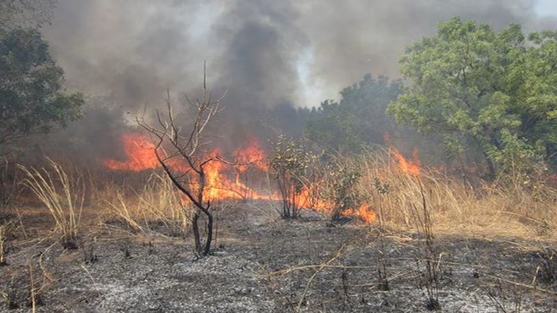 Burundi : près d’un cinquième du parc national de la Ruvubu détruit par des feux de brousse