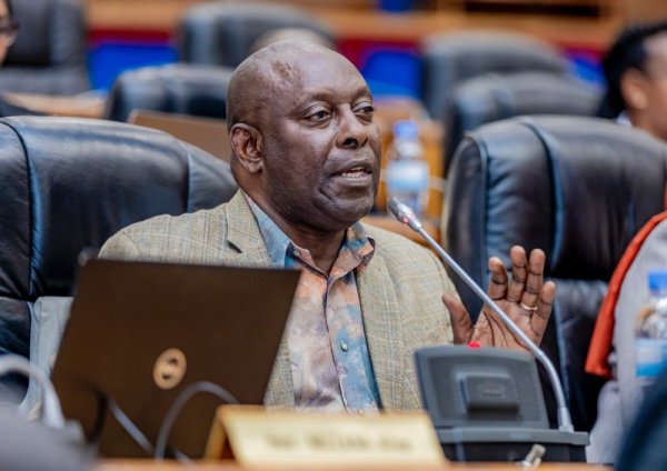 Léonard Ndagijimana élu président du PDC
