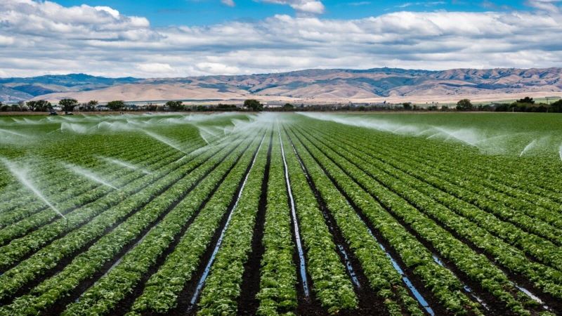 Le Rwanda et la Chine lancent un projet d’irrigation de 47 millions de dollars pour accélérer la transformation agricole