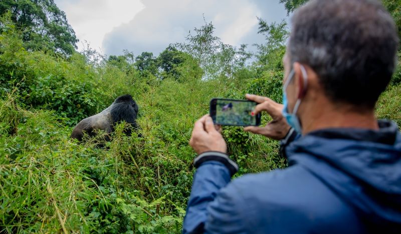 Les recettes des visiteurs étrangers au Rwanda atteignent 161,8 millions de $ au deuxième trimestre 2026