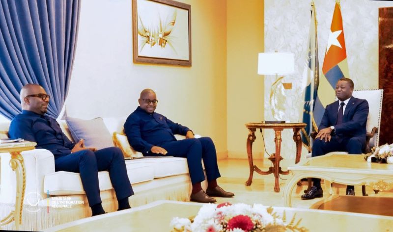 RDC : Kinshasa sillonne l’Afrique et l’Europe pour défendre son plan sur les FDLR