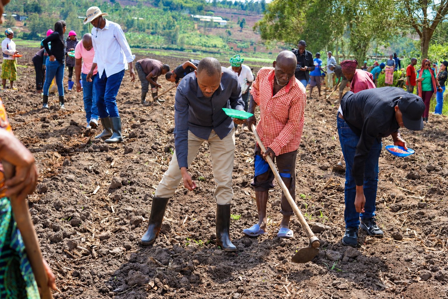 Rwamagana: Ubuso buhingwa bwiyongereyeho hegitari zisaga 2.400