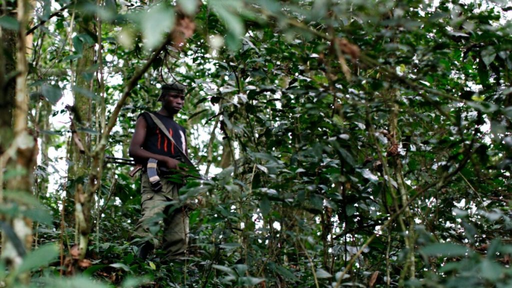 Rutshuru: FDLR yishe abantu batanu